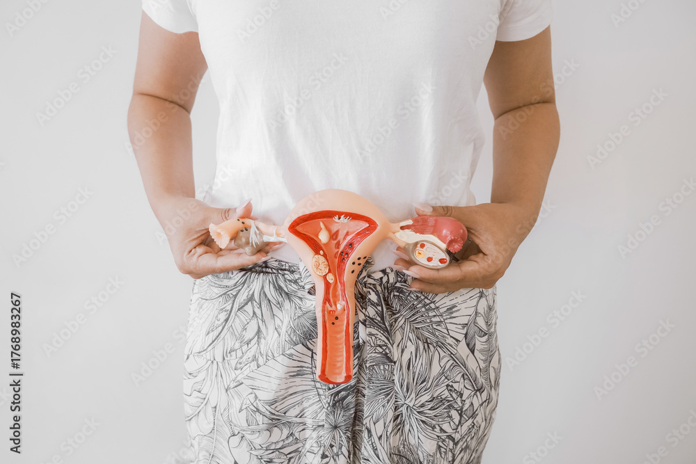 Wiederkehrende Infektionen, Vulva-/Vaginalerkrankungen und Schmerzen beim Sex nehmen wir ernst und behandeln strukturiert.